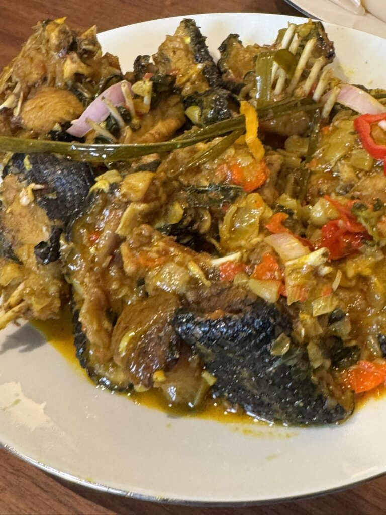 Python meat. Equatorial Guinea